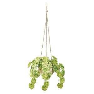 }[u|gXnMOO[A[eBtBVt[ԃCeAO[ϗtAtFCNO[[TDLFZ002009] t[Mtg nhCh fB XvC K[fjO