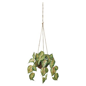 J[hAXEnMOO[bhA[eBtBVt[ԊϗtA tFCNO[[TDLFZ002011] t[Mtg nhCh fB XvC K[fjOpi 