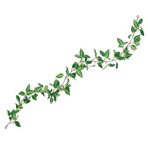 gfBXJeBAK[hCG[^O[A[eBtBVt[[TDLFG300454-023] t[Mtg nhCh fB XvC K[fjOpi IuWF  i`