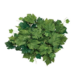 O[v[t}bgO[A[eBtBVt[ԃ}bg[TDLFG302301] t[Mtg nhCh fB XvC K[fjOpi IuWF  i`AW X