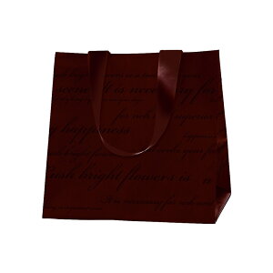 V}obOSuE20AWobOzzW܃eCNAEgpbP[W[TDLGF090120-008]  t[Mtg nhCh fB XvC Cxgpi IuWF  