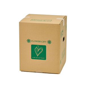 t[[{bNXS20ރpbP[WAWBOX[TDLGF028000]  t[Mtg nhCh fB XvC Cxgpi IuWF  I[ig CeAt