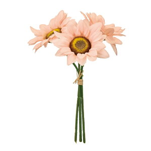 ~jTt[sbN s[`sN A[eBtBVt[  Ђ܂[TDLFM004009-002] t[Mtg nhCh K[fjOpi fB XvC i`AW C