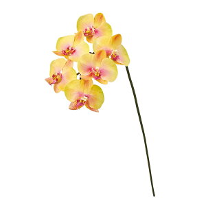 yX[p[Z[ʊiz~JGt@mvVXCG[sNA[eBtBVt[ԌӒt@m[TDLFW093450-004] t[Mtg nhCh K[fjOpi 