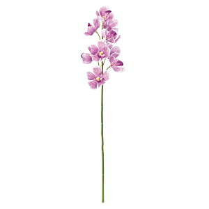 II[LbhCbNA[eBtBVt[ԃI[Lbh[TDLFM009109-011] t[Mtg nhCh K[fjOpi fB XvC i`AW CeAt