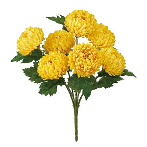 pXe}ubV CG[ A[eBtBVt[  } e[TDLFM001300-004] t[Mtg nhCh K[fjOpi fB XvC i`AW CeA