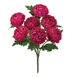 pXe}ubV I[Lbh A[eBtBVt[  } e[TDLFM001300-012] t[Mtg nhCh K[fjOpi fB XvC i`AW Ce