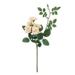 pbg[Y oj A[eBtBVt[  [Y o [TDLFM000160-030] t[Mtg nhCh K[fjOpi fB XvC i`AW CeAt