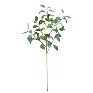 [JAf[hO[A[eBtBVt[ԃ[J[TDLFG001253] t[Mtg nhCh fB XvC K[fjOpi IuWF  CeAO[