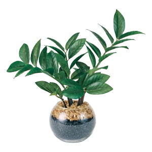 U~INJXEhOXO[A[eBtBVt[CeAO[ϗtAtFCNO[[TDLFZ000566] t[Mtg nhCh fB XvC K[fjO