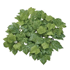 Vg[O[v}bgO[A[eBtBVt[ԃ}bg[TDLFG302314] t[Mtg nhCh fB XvC K[fjOpi IuWF  i`AW X