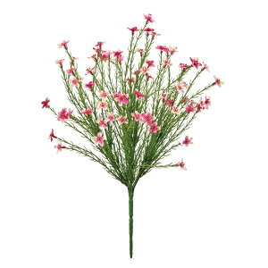 bNXt[ubV zbgsN A[eBtBVt[  [TDLFM005073-052] t[Mtg nhCh K[fjOpi fB XvC i`AW Ce