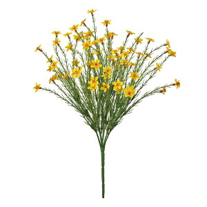 bNXt[ubV S[hCG[ A[eBtBVt[  [TDLFM005073-021] t[Mtg nhCh K[fjOpi fB XvC i`AW C