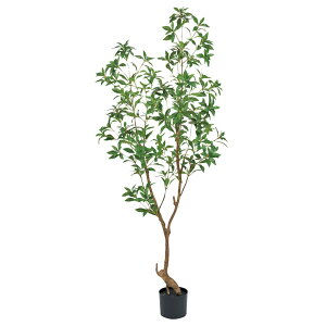 V_|bgO[A[eBtBVt[ԃCeAO[ϗtAtFCNO[y^ցz[TDLFG008720] t[Mtg nhCh fB XvC K[fjO