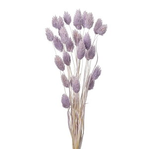 |AvcAPrhCt[J[[TDLFD042020-049] t[Mtg nhCh fB XvC fR[Vf IuWF  CeAԍ A[eBtBVt[