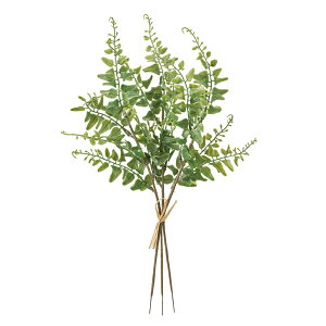 J[[t@[sbNO[A[eBtBVt[[TDLFG000051] t[Mtg nhCh fB XvC K[fjOpi IuWF  tFCNO[