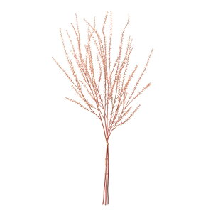 J[OXohsNA[eBtBVt[[TDLFG009680-002] t[Mtg nhCh fB XvC K[fjOpi IuWF  i`AW Xܑ