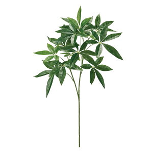 pLu`O[A[eBtBVt[[TDLFG005721] t[Mtg nhCh fB XvC K[fjOpi IuWF  i`AW Xܑ