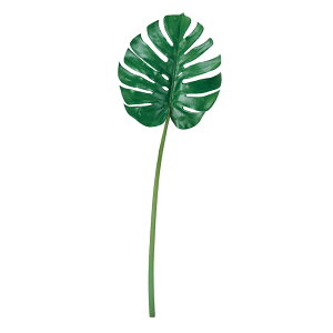 XeO[A[eBtBVt[ԃ[tXe[TDLFG007005] t[Mtg nhCh fB XvC K[fjOpi IuWF  i`AW 