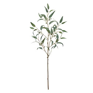 חt[Jx[u`O[O[A[eBtBVt[ԃ[J[TDLFG005371] t[Mtg nhCh fB XvC K[fjOpi IuWF  i`