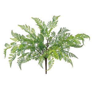 U[t@[ubVO[A[eBtBVt[[TDLFG004007] t[Mtg nhCh fB XvC K[fjOpi IuWF  i`AW Xܑ