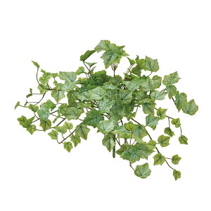 ~jO[vACr[oCtXgO[A[eBtBVt[ԃACr[O[v[t[TDLFG000156] t[Mtg nhCh fB XvC K[fjOpi IuW