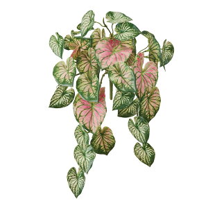 JW[~joCO[bhA[eBtBVt[[TDLFG009943] t[Mtg nhCh fB XvC K[fjOpi IuWF  i`AW X