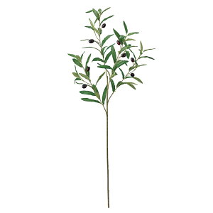 I[u̎}O[A[eBtBVt[Ԏ[TDLFG001169] t[Mtg nhCh fB XvC K[fjOpi IuWF  CeAO[