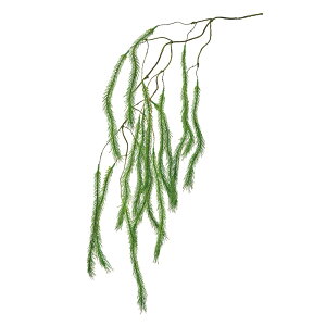 nMOXt@[O[A[eBtBVt[[TDLFG004020] t[Mtg nhCh fB XvC K[fjOpi IuWF  i`AW Xܑ