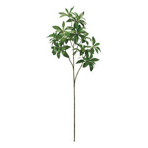 AZru`O[A[eBtBVt[[TDLFG005220] t[Mtg nhCh fB XvC K[fjOpi IuWF  i`AW Xܑ