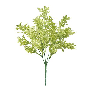 ~j{bNXEbhubVCgO[A[eBtBVt[[TDLFG000443-023] t[Mtg nhCh fB XvC K[fjOpi IuWF  CeAO