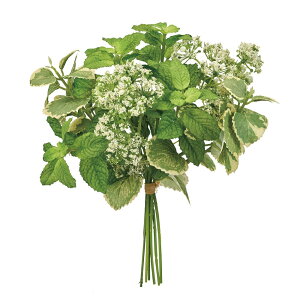 AWFJn[uu[PO[A[eBtBVt[ԃn[u[TDLFG000392] t[Mtg nhCh fB XvC K[fjOpi IuWF  CeAO[