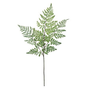 pE_[U[t@[pE_[O[A[eBtBVt[[TDLFG002130] t[Mtg nhCh fB XvC K[fjOpi IuWF  i`AW