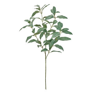 Z[Wu`O[A[eBtBVt[ԃn[u[TDLFG302311] t[Mtg nhCh fB XvC K[fjOpi IuWF  i`AW Xܑ