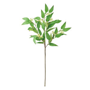 t[Ju`CgO[A[eBtBVt[ԃ[J[TDLFG002313-023] t[Mtg nhCh fB XvC K[fjOpi IuWF  i`