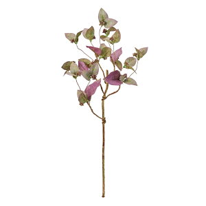 {h[cCbO[tC^O[A[eBtBVt[[TDLFG002340] t[Mtg nhCh fB XvC K[fjOpi IuWF  i`AW 