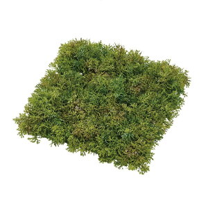 \tgX}bgXO[A[eBtBVt[ԃ}bg[TDLFG008209] t[Mtg nhCh fB XvC K[fjOpi IuWF  i`AW X