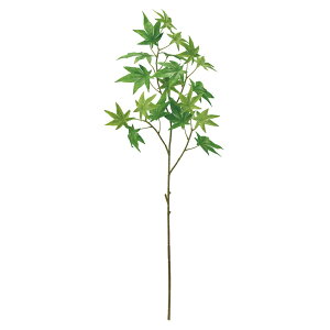 ݂O[A[eBtBVt[Ԃ݂[v[TDLFG002029] t[Mtg nhCh fB XvC K[fjOpi IuWF  i`AW