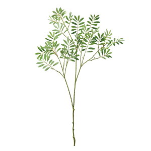 JXeu`O[A[eBtBVt[[TDLFG000983] t[Mtg nhCh fB XvC K[fjOpi IuWF  CeAO[