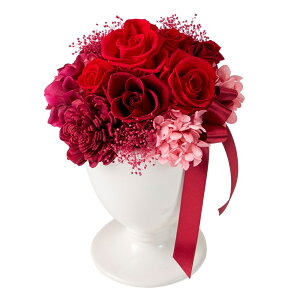 G}bhAWgvU[uht[MtgAW[TDLZY006328-003] t[Mtg nhCh fB XvC K[fjOpi IuWF  CeAԍ A[eBt