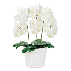 sAI[Lbh3{iCmZgt@mjAWgӒG}H[TDLZV007030] t[Mtg nhCh Cxgpi fB XvC i`AW CeA