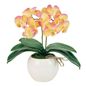 sAI[Lbh2{iVF[t@mjx_[^CG[AWgӒG}H[TDLZV008072-104] t[Mtg nhCh Cxgpi fB XvC i`