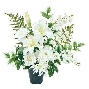 JTuJAWEpAWgA[eBtBVt[ԃt[lAW[TDLZA005469] t[Mtg nhCh Cxgpi fB XvC i`