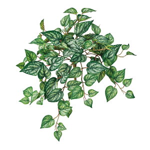 GNXeAhXJYoCO[^N[A[eBtBVt[ԃJY[TDLFG312351] t[Mtg nhCh fB XvC K[fjOpi IuWF  i