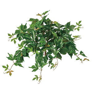 GNXeA{XgACr[oCO[A[eBtBVt[ԃACr[[TDLFG312352] t[Mtg nhCh fB XvC K[fjOpi IuWF  i`