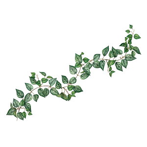 GNXeAhXJYK[hO[A[eBtBVt[ԃJY[TDLFG312354] t[Mtg nhCh fB XvC K[fjOpi IuWF  i`