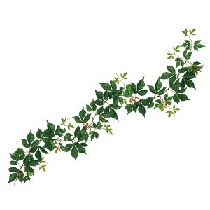 GNXeA{XgACr[K[hO[A[eBtBVt[ԃACr[[TDLFG312355] t[Mtg nhCh fB XvC K[fjOpi IuWF  i