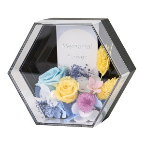 Zpi΂jAWgvU[uht[t[lAW[TDLZY005016] A[eBtBVt[ t[Mtg nhCh fB XvC i`