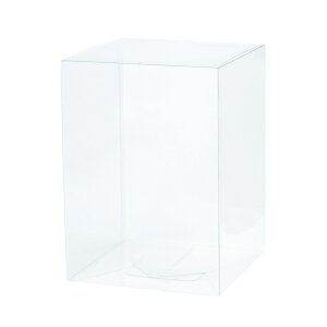 NA{bNXL10 NAP[X pbP[W  [TDLUK000903] CeA Mtgpi [ bsOpi rj[