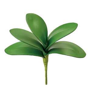 ~jt@m [t O[ A[eBtBVt[  Ӓt@m t[ [TDLFG005552] tFCNO[ AWgp[c nhCh fBXvC